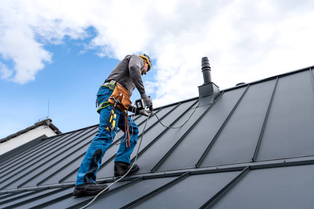 Best Commercial Roofing Services  in Pinckneyvle, IL